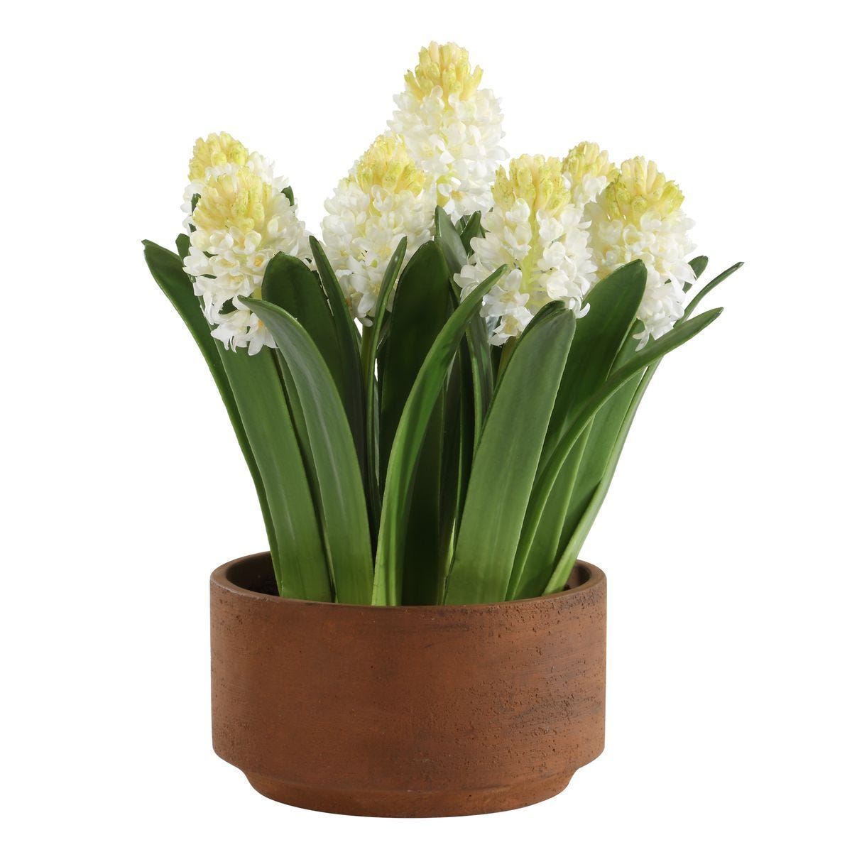 Sincerity Potted Hyacinth - stylish home accessories to complete your decor | Image 3 | InSTYLE Home & Rugs