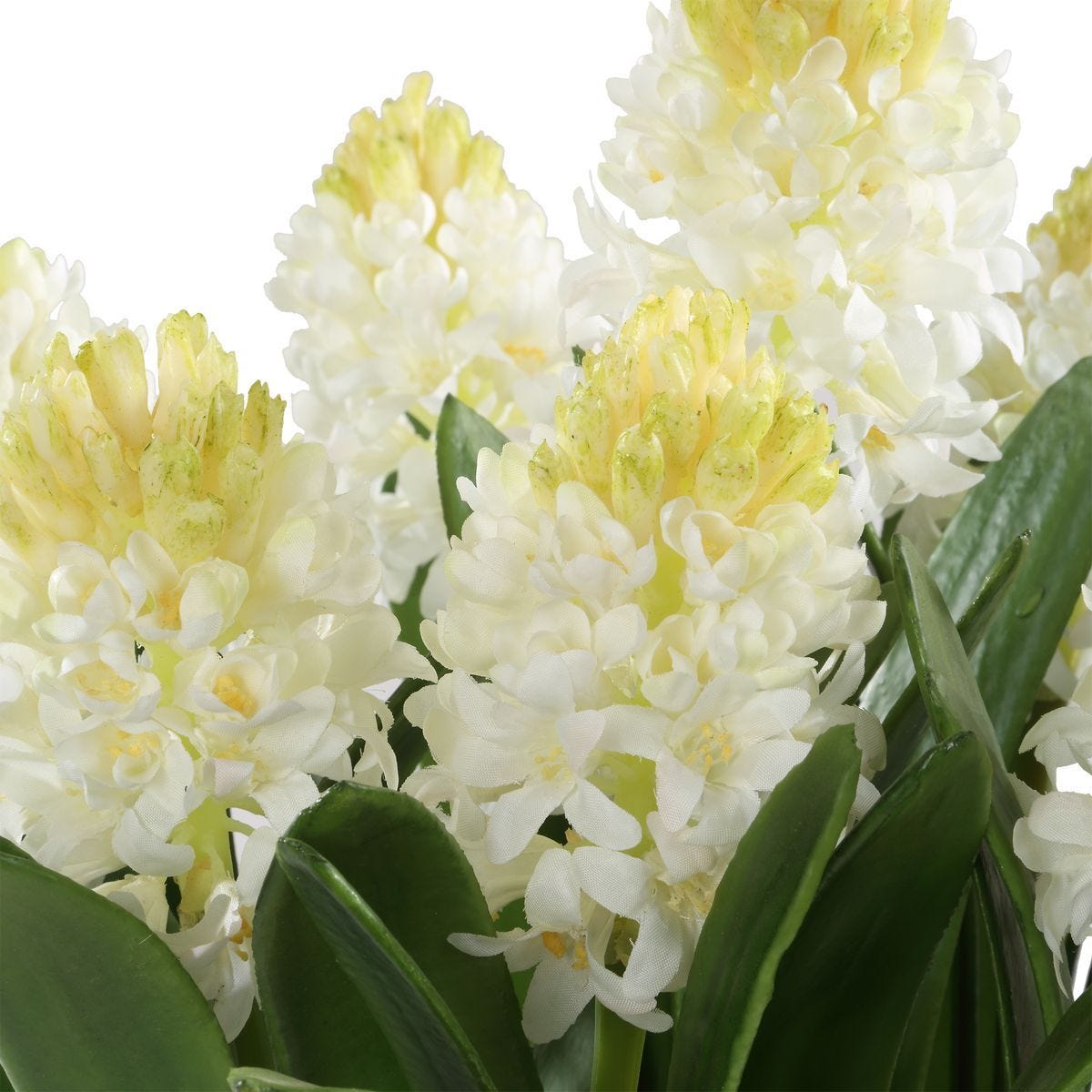Sincerity Potted Hyacinth - stylish home accessories to complete your decor | Image 4 | InSTYLE Home & Rugs