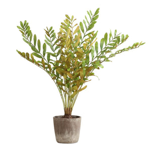 Zamia Palm Accent - stylish home accessories to complete your decor | Image 2 | InSTYLE Home & Rugs