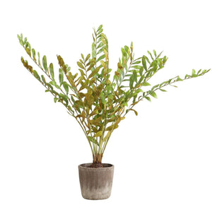 Zamia Palm Accent - stylish home accessories to complete your decor | Image 3 | InSTYLE Home & Rugs