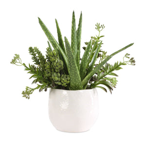 Sundown Succulent Accent - modern accessories for a personalized living space | Image 2 | InSTYLE Home & Rugs