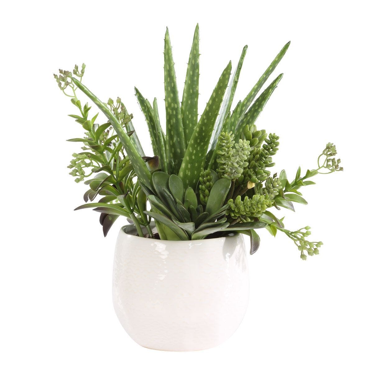 Sundown Succulent Accent - modern accessories for a personalized living space | Image 3 | InSTYLE Home & Rugs