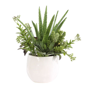 Sundown Succulent Accent - modern accessories for a personalized living space | Image 3 | InSTYLE Home & Rugs