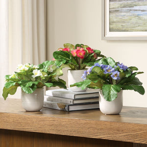 Trilogy Primrose Accents, S/3 - stylish home accessories to complete your decor | Image 1 | InSTYLE Home & Rugs