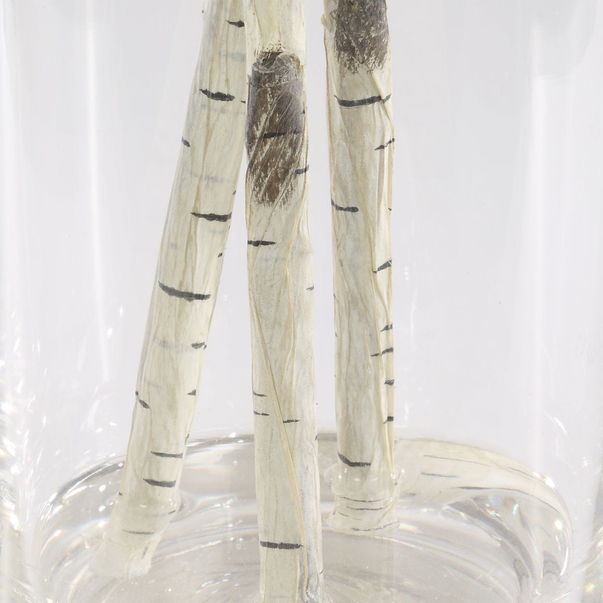 Nigra Birch Centerpiece - decor accents and accessories for every room | Image 5 | InSTYLE Home & Rugs