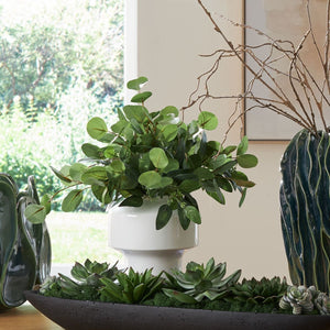 Essence Eucalyptus Accent - decor accents and accessories for every room | Image 1 | InSTYLE Home & Rugs