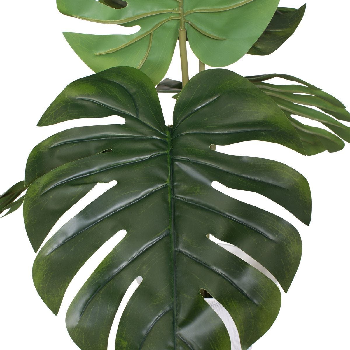 Muse Monstera Centerpiece - modern accessories for a personalized living space | Image 7 | InSTYLE Home & Rugs