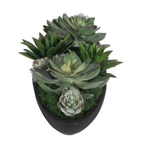 Verde Succulent Centerpiece - modern accessories for a personalized living space | Image 5 | InSTYLE Home & Rugs