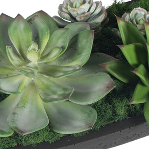 Verde Succulent Centerpiece - modern accessories for a personalized living space | Image 7 | InSTYLE Home & Rugs