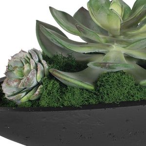 Verde Succulent Centerpiece - modern accessories for a personalized living space | Image 8 | InSTYLE Home & Rugs