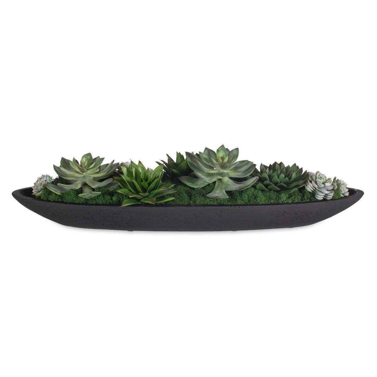 Verde Succulent Centerpiece - modern accessories for a personalized living space | Image 2 | InSTYLE Home & Rugs