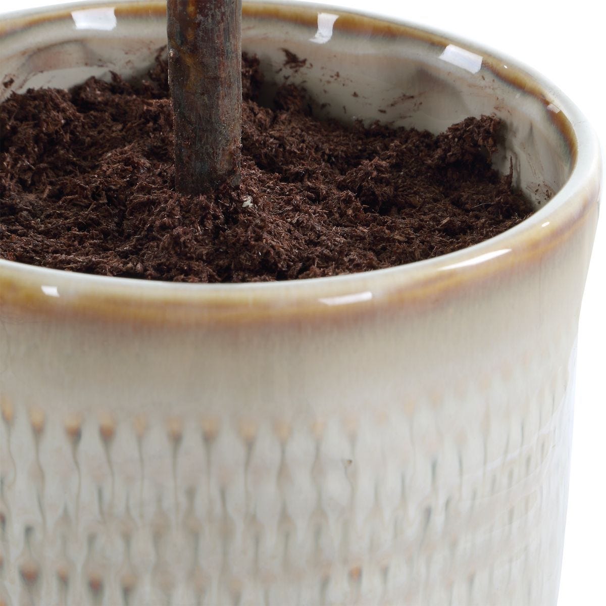 Solea Olive Accent - modern accessories for a personalized living space | Image 5 | InSTYLE Home & Rugs