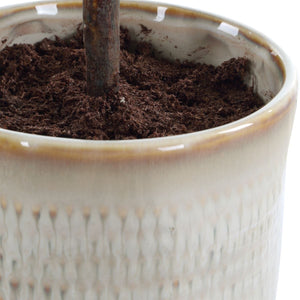 Solea Olive Accent - modern accessories for a personalized living space | Image 5 | InSTYLE Home & Rugs