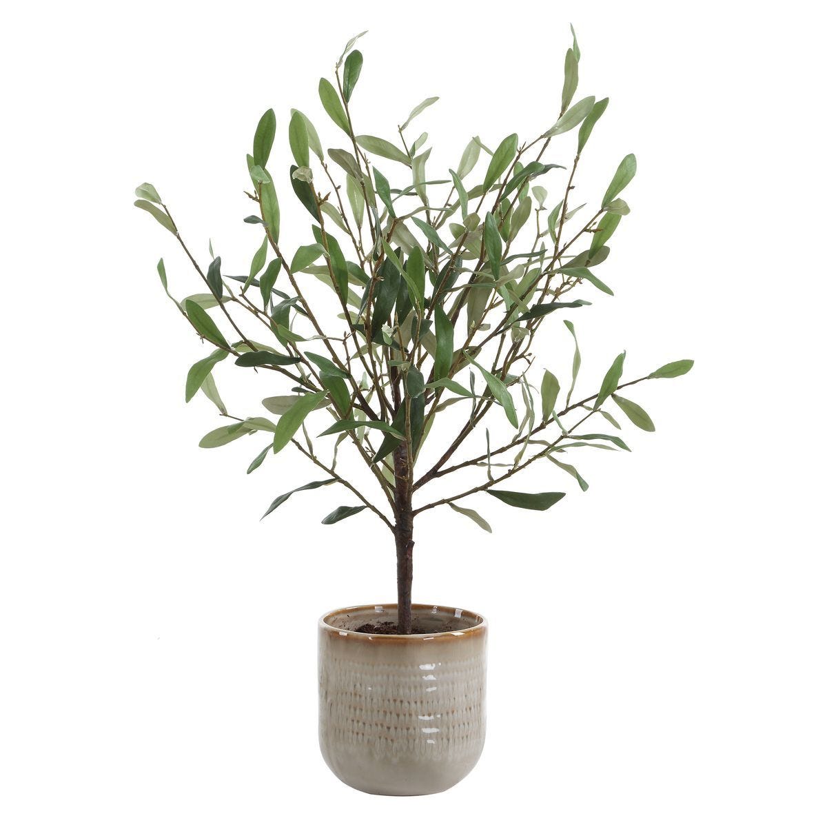 Solea Olive Accent - modern accessories for a personalized living space | Image 4 | InSTYLE Home & Rugs