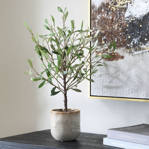 Solea Olive Accent - modern accessories for a personalized living space | Image 3 | InSTYLE Home & Rugs