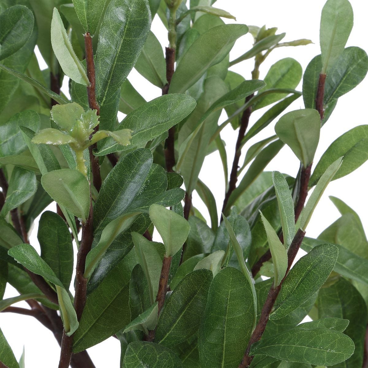 Arbor Strawberry Tree - stylish home accessories to complete your decor | Image 6 | InSTYLE Home & Rugs