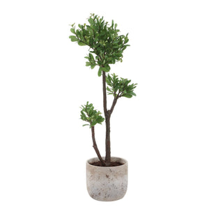 Arbor Strawberry Tree - stylish home accessories to complete your decor | Image 4 | InSTYLE Home & Rugs