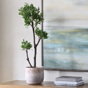 Arbor Strawberry Tree - stylish home accessories to complete your decor | Image 1 | InSTYLE Home & Rugs