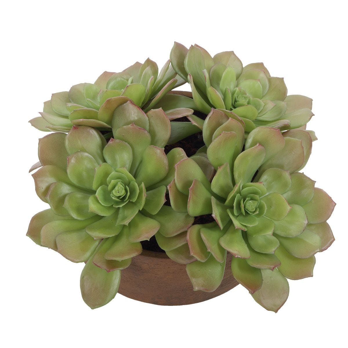 Sable Succulent Accent - modern accessories for a personalized living space | Image 5 | InSTYLE Home & Rugs
