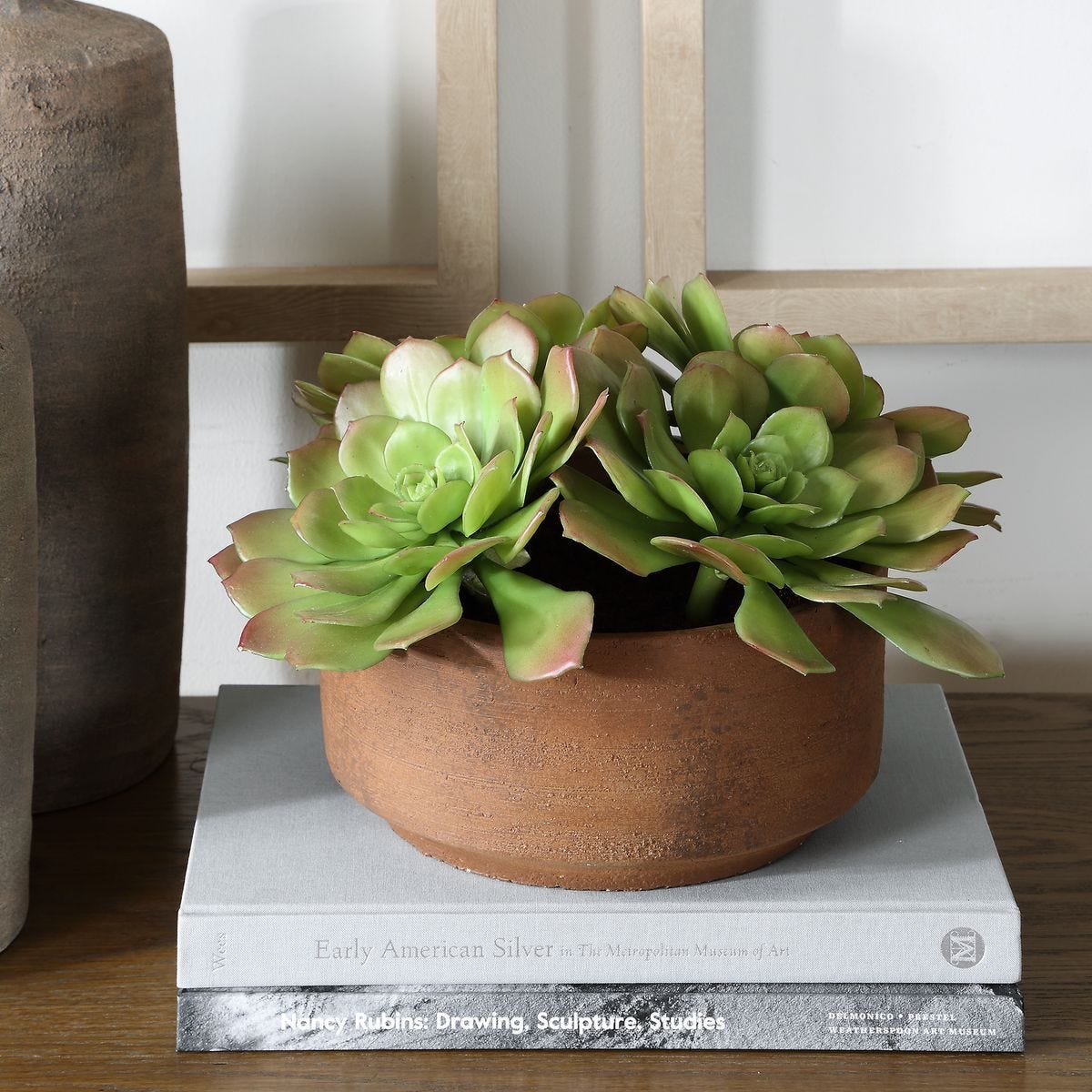 Sable Succulent Accent - modern accessories for a personalized living space | Image 3 | InSTYLE Home & Rugs