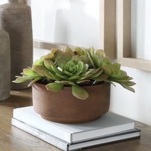 Sable Succulent Accent - modern accessories for a personalized living space | Image 1 | InSTYLE Home & Rugs