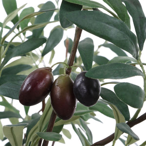 Marisol Potted Olive - stylish home accessories to complete your decor | Image 6 | InSTYLE Home & Rugs