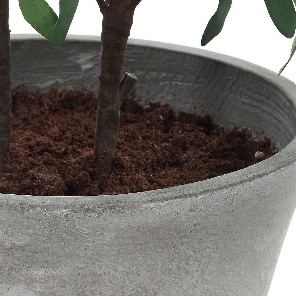 Marisol Potted Olive - stylish home accessories to complete your decor | Image 7 | InSTYLE Home & Rugs
