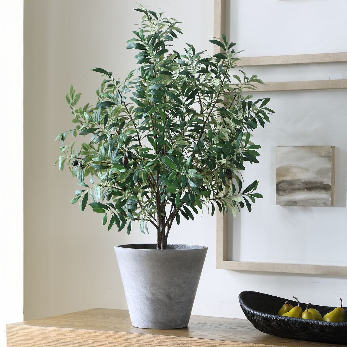 Marisol Potted Olive - stylish home accessories to complete your decor | Image 3 | InSTYLE Home & Rugs