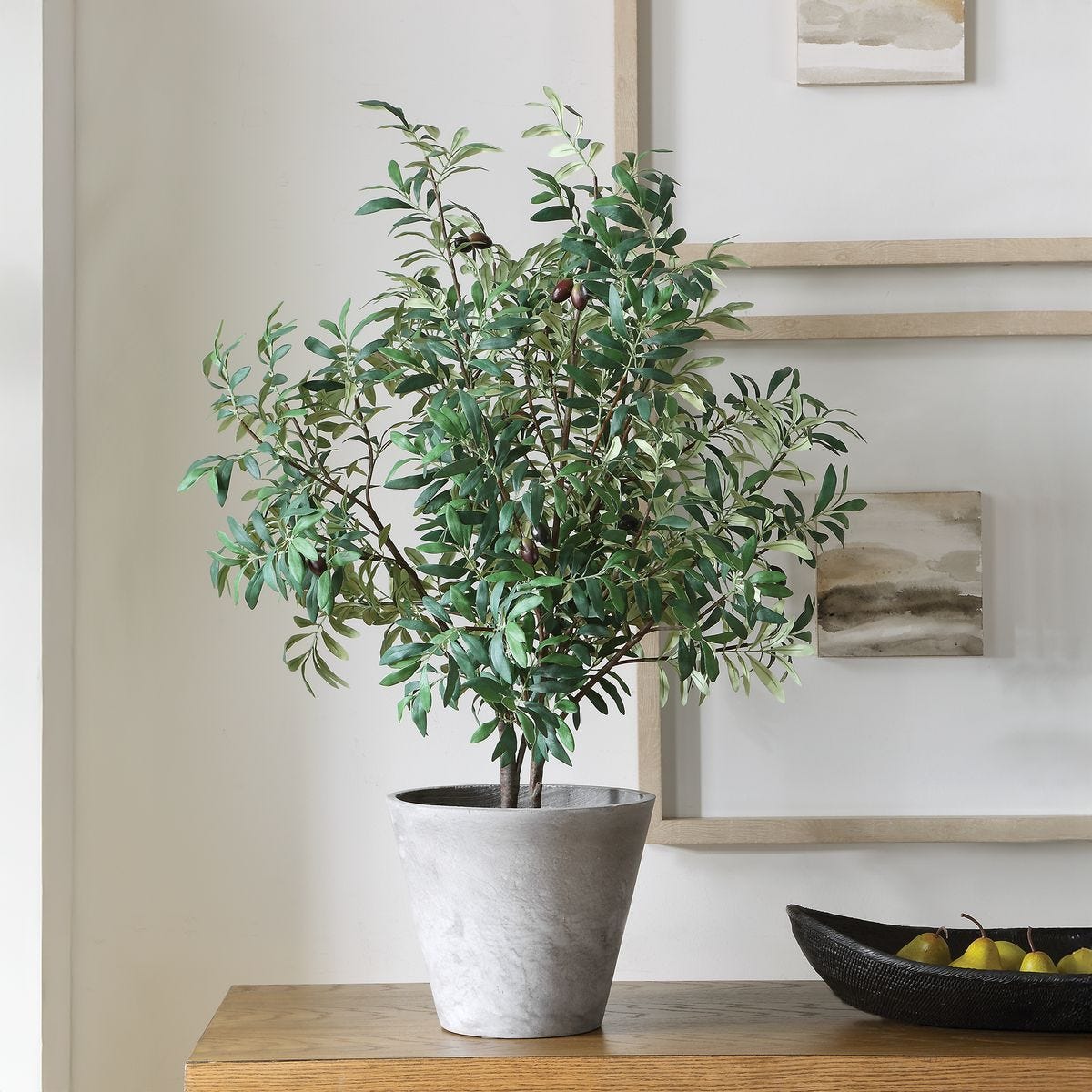 Marisol Potted Olive - stylish home accessories to complete your decor | Image 1 | InSTYLE Home & Rugs