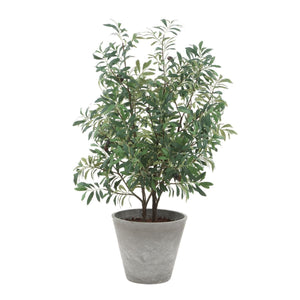 Marisol Potted Olive - stylish home accessories to complete your decor | Image 2 | InSTYLE Home & Rugs