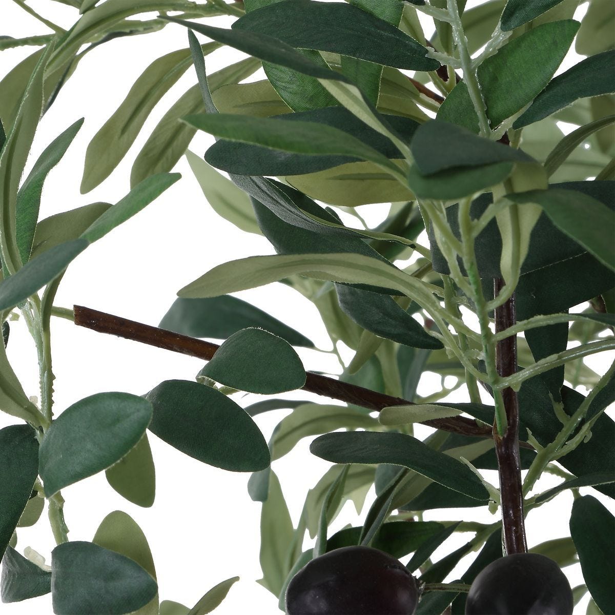 Sonora Olive Tree - stylish home accessories to complete your decor | Image 6 | InSTYLE Home & Rugs