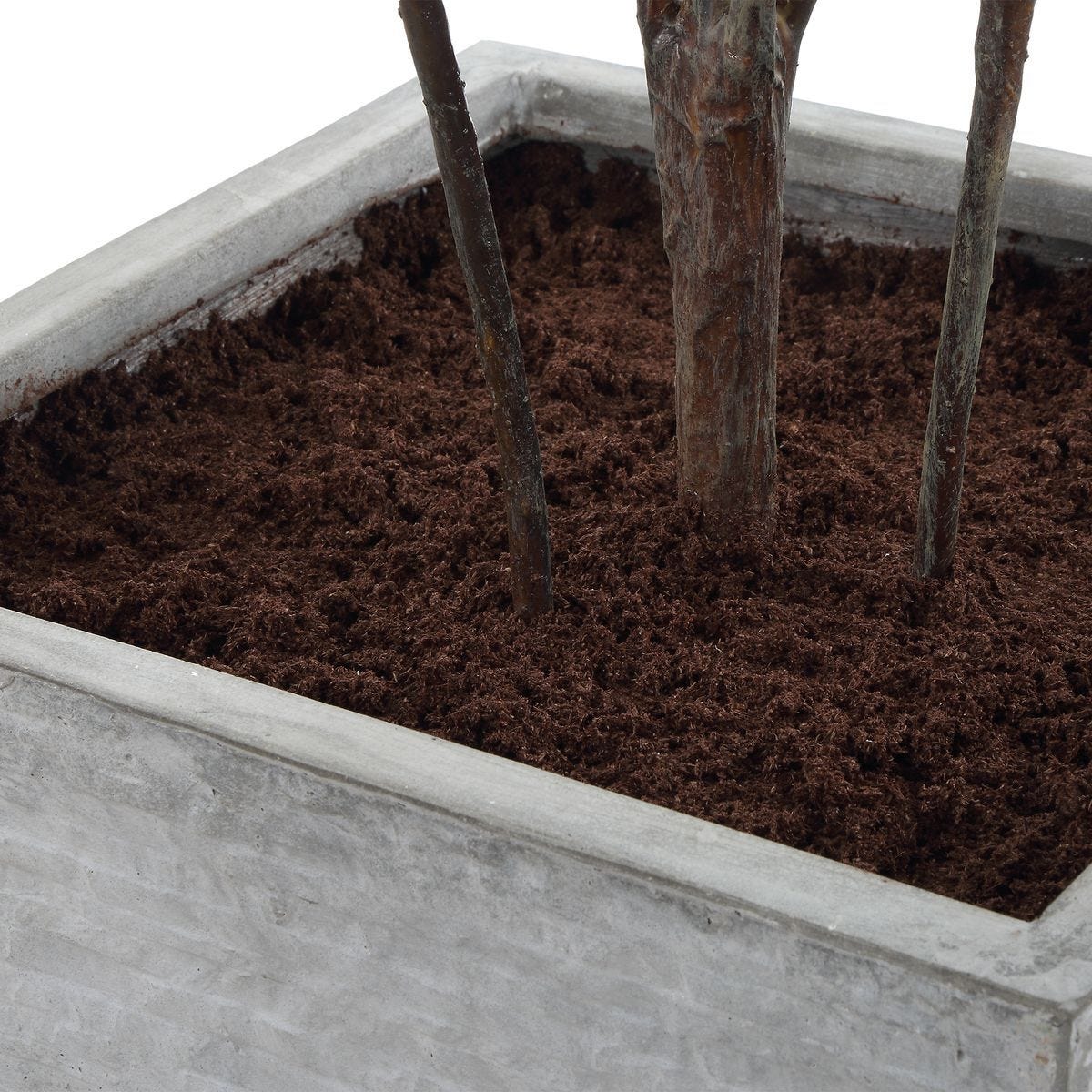 Sonora Olive Tree - stylish home accessories to complete your decor | Image 7 | InSTYLE Home & Rugs