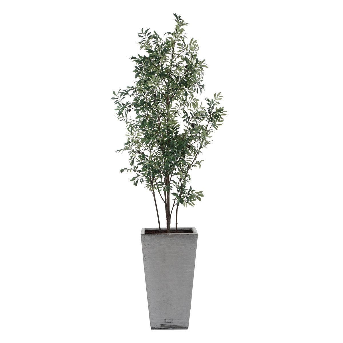Sonora Olive Tree - stylish home accessories to complete your decor | Image 4 | InSTYLE Home & Rugs