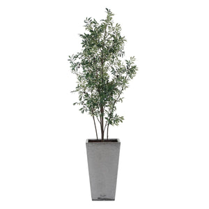 Sonora Olive Tree - stylish home accessories to complete your decor | Image 4 | InSTYLE Home & Rugs