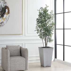 Sonora Olive Tree - stylish home accessories to complete your decor | Image 3 | InSTYLE Home & Rugs