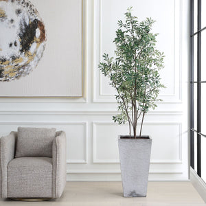 Sonora Olive Tree - stylish home accessories to complete your decor | Image 1 | InSTYLE Home & Rugs