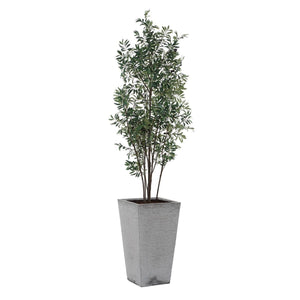 Sonora Olive Tree - stylish home accessories to complete your decor | Image 2 | InSTYLE Home & Rugs