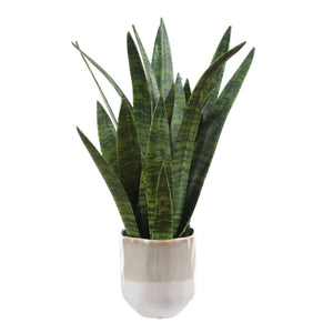 Sansera Snake Accent - decor accents and accessories for every room | Image 5 | InSTYLE Home & Rugs