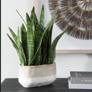 Sansera Snake Accent - decor accents and accessories for every room | Image 3 | InSTYLE Home & Rugs