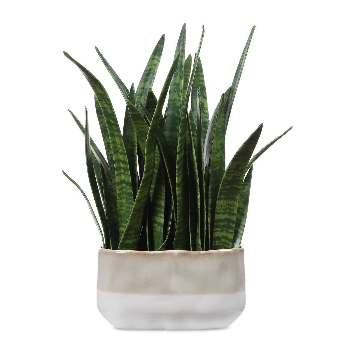 Sansera Snake Accent - decor accents and accessories for every room | Image 2 | InSTYLE Home & Rugs