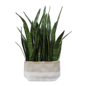 Sansera Snake Accent - decor accents and accessories for every room | Image 2 | InSTYLE Home & Rugs