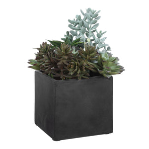 Greystone Indoor-Outdoor Succulent - stylish home accessories to complete your decor | Image 4 | InSTYLE Home & Rugs