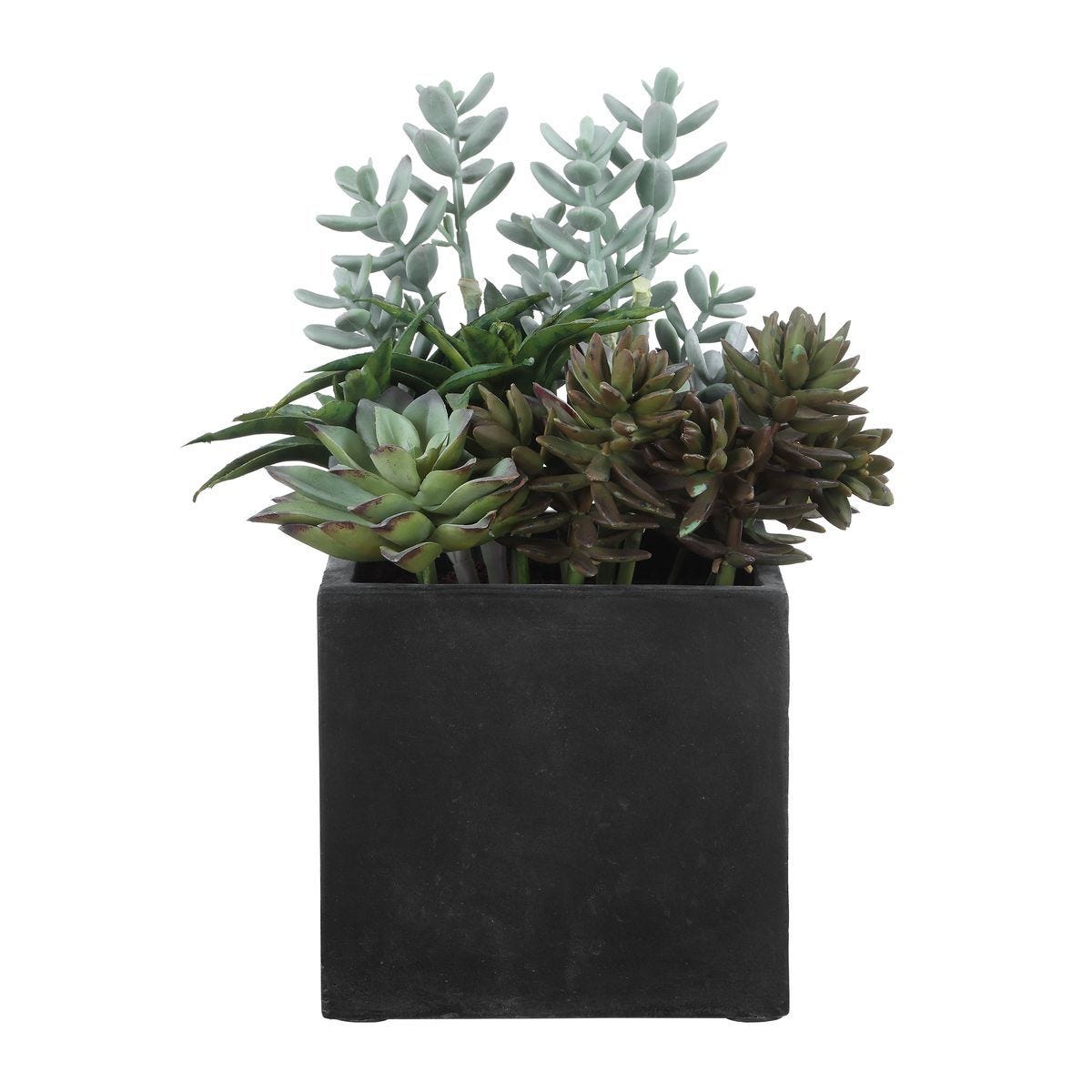 Greystone Indoor-Outdoor Succulent - stylish home accessories to complete your decor | Image 5 | InSTYLE Home & Rugs