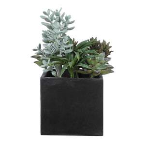 Greystone Indoor-Outdoor Succulent - stylish home accessories to complete your decor | Image 6 | InSTYLE Home & Rugs