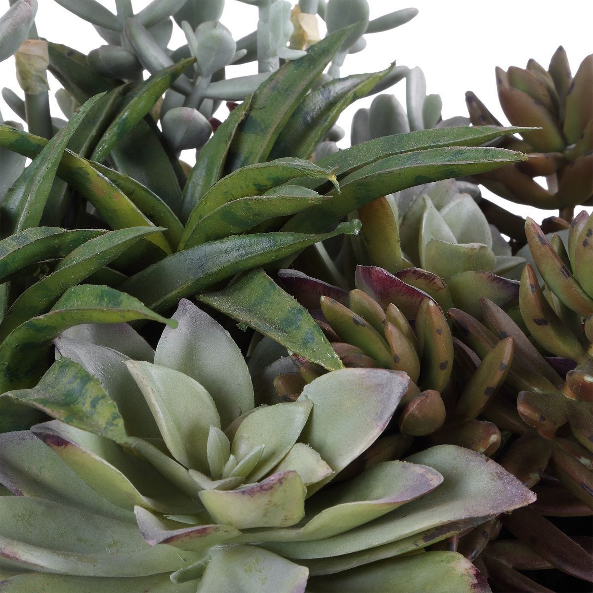 Greystone Indoor-Outdoor Succulent - stylish home accessories to complete your decor | Image 7 | InSTYLE Home & Rugs