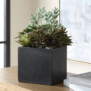 Greystone Indoor-Outdoor Succulent - stylish home accessories to complete your decor | Image 3 | InSTYLE Home & Rugs