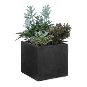 Greystone Indoor-Outdoor Succulent - stylish home accessories to complete your decor | Image 2 | InSTYLE Home & Rugs