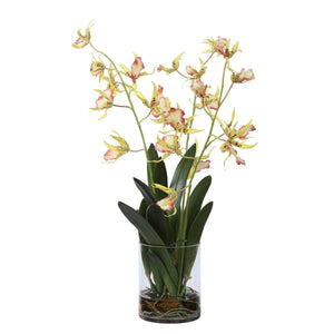 Spider Orchid - decor accents and accessories for every room | Image 6 | InSTYLE Home & Rugs