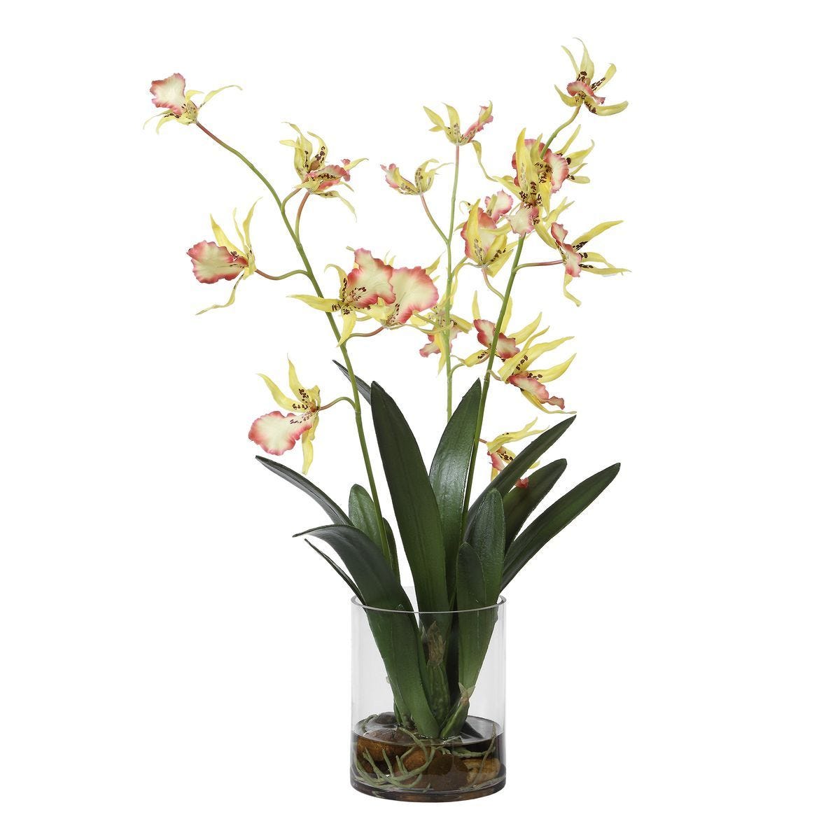 Spider Orchid - decor accents and accessories for every room | Image 7 | InSTYLE Home & Rugs