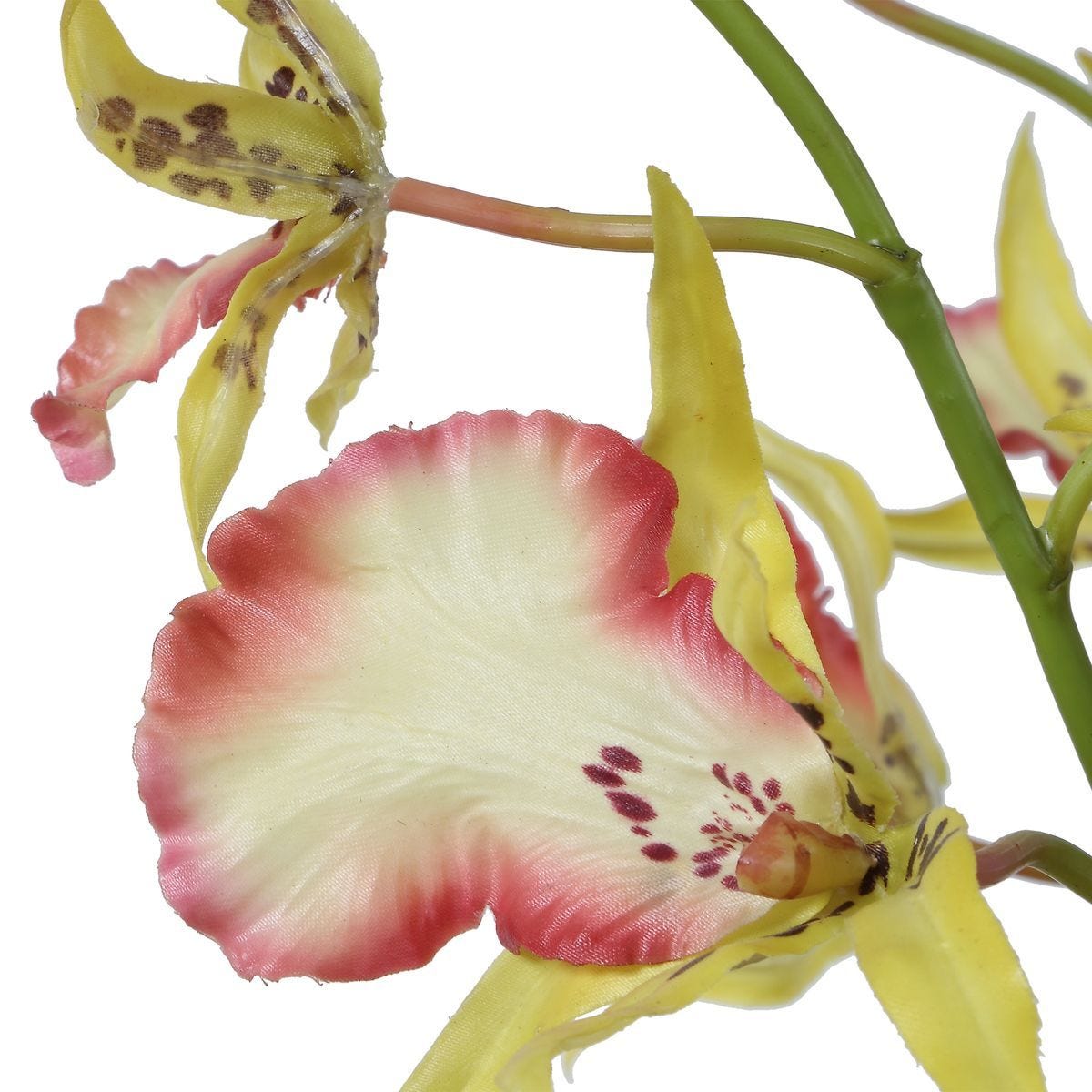 Spider Orchid - decor accents and accessories for every room | Image 8 | InSTYLE Home & Rugs